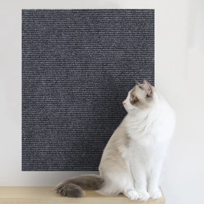 Protège Canapé Chat Autocollant Griffoir Découpable