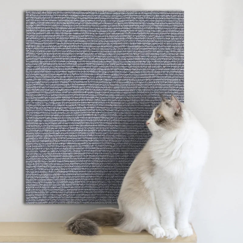 Protège Canapé Chat Autocollant Griffoir Découpable