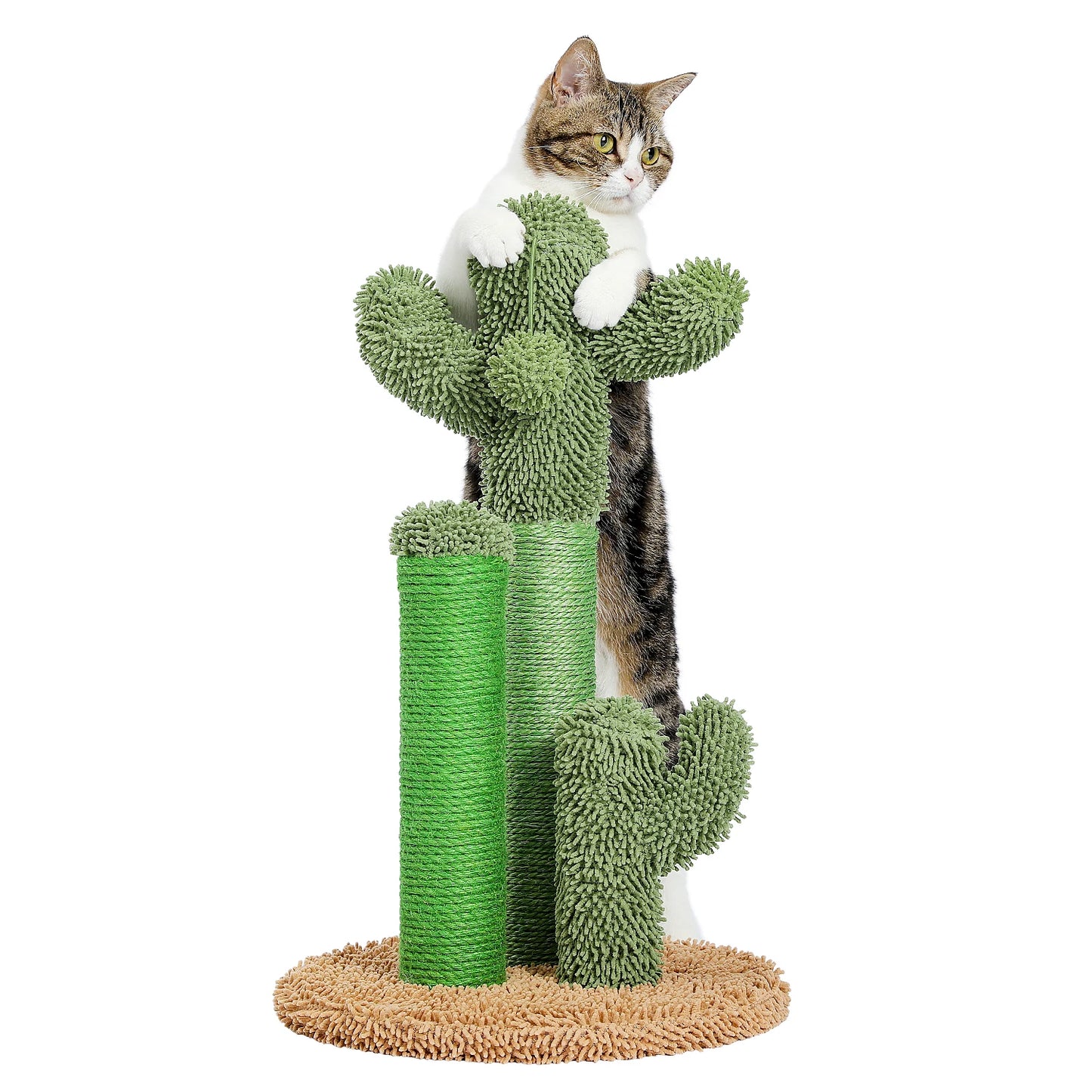 Arbre A Chat Cactus 3 Poteaux Avec Balle Suspendue