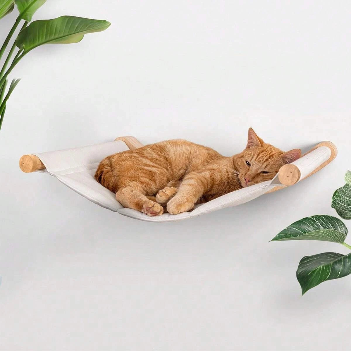 Hamac Murale Pour Chat
