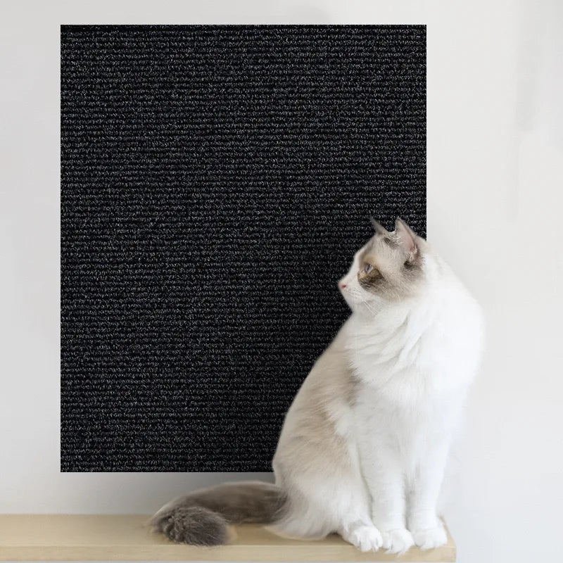 Protège Canapé Chat Autocollant Griffoir Découpable