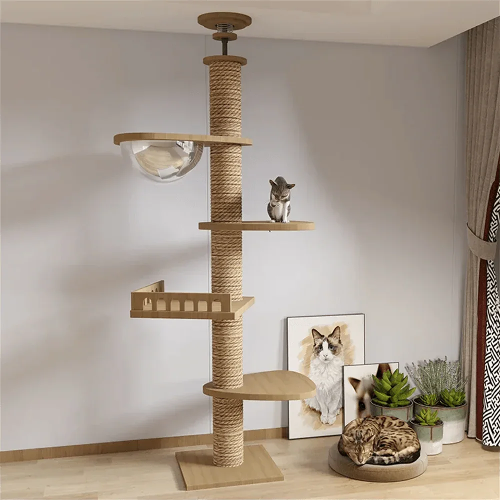 Arbre À Chat Plafond Moderne Avec Niveaux - Mon Arbre à Chat