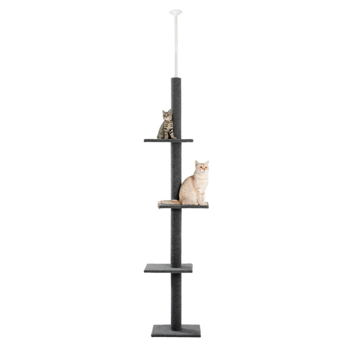 Arbre À Chat Sol Plafond Ajustable - Mon Arbre à Chat