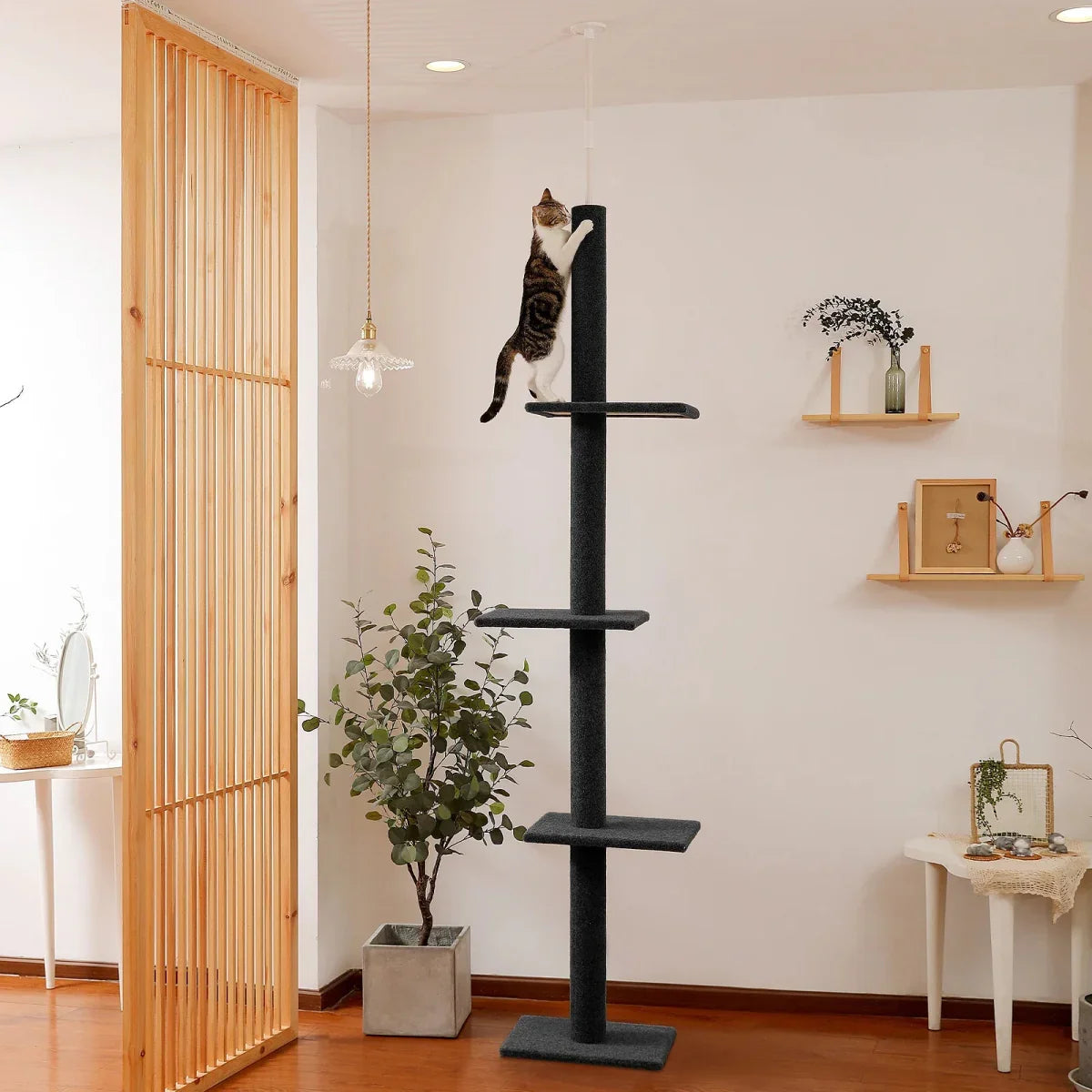 Arbre À Chat Sol Plafond Ajustable - Mon Arbre à Chat