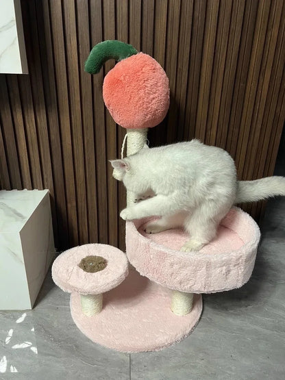 Petit Arbre à Chat Fruité 65 cm – Niche Ronde, Poteaux Sisal & Perchoir Confort