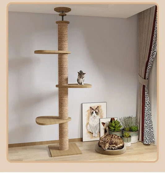Arbre À Chat Plafond Ajustable - Mon Arbre à Chat