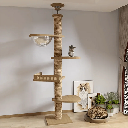 Arbre À Chat Plafond Moderne Avec Niveaux - Mon Arbre à Chat