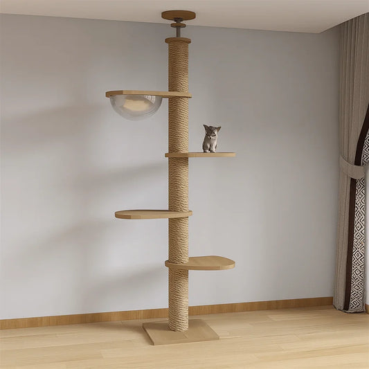 Tour Féline en Bois avec Bulle Transparente et Griffoir - Mon Arbre à Chat